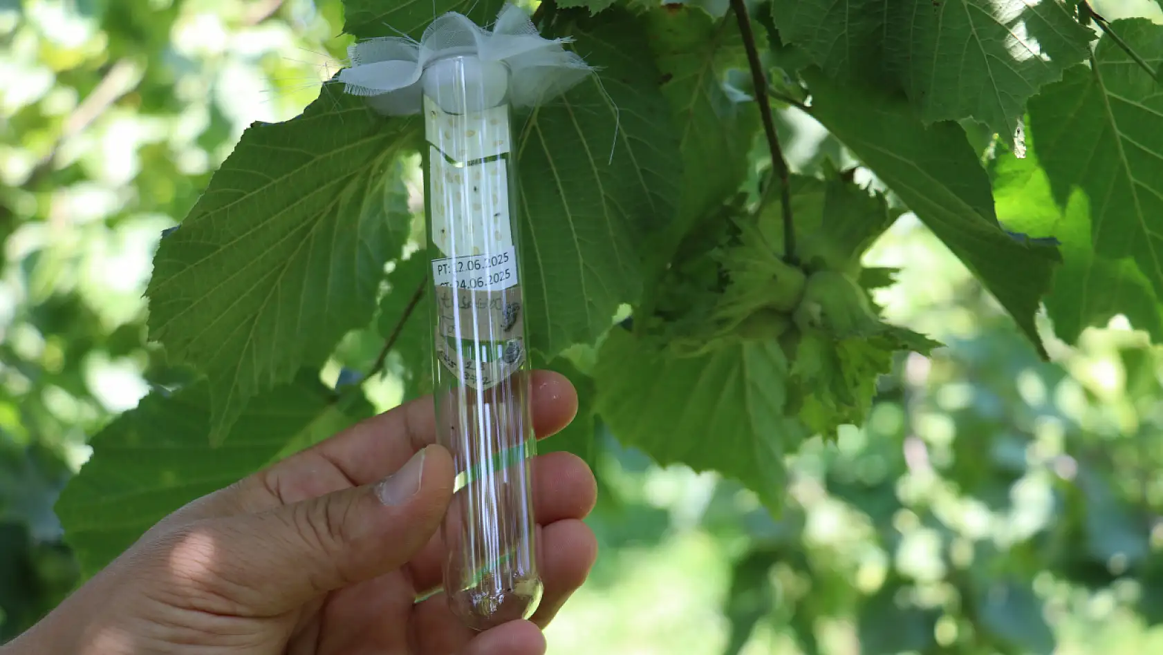 'Kritik hazırlıklar' yoğunlaştı