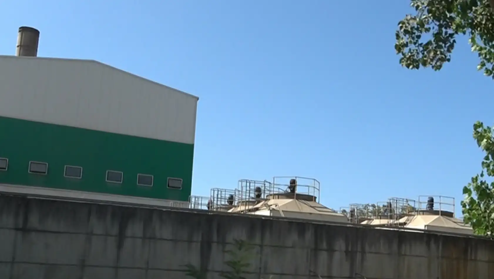 Dikbıyık'ta Biyokütle Santrali Tepkisi: