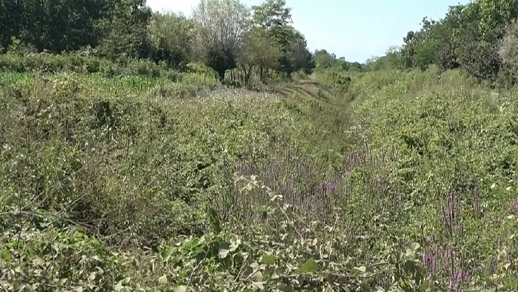 Dikbıyık'ta Biyokütle Santrali Tepkisi: