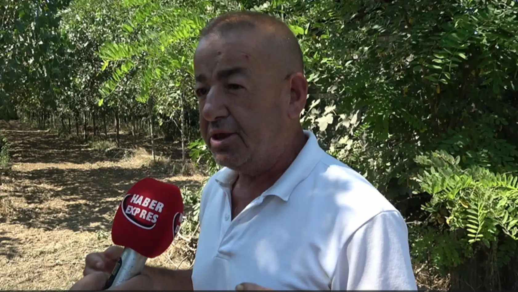 Dikbıyık'ta Biyokütle Santrali Tepkisi: