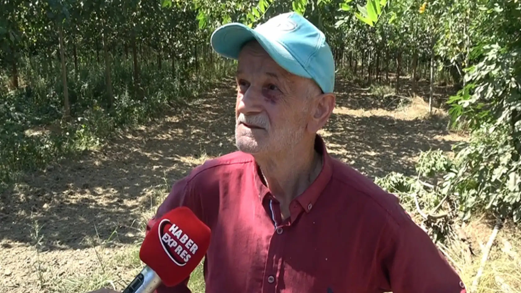 Dikbıyık'ta Biyokütle Santrali Tepkisi: