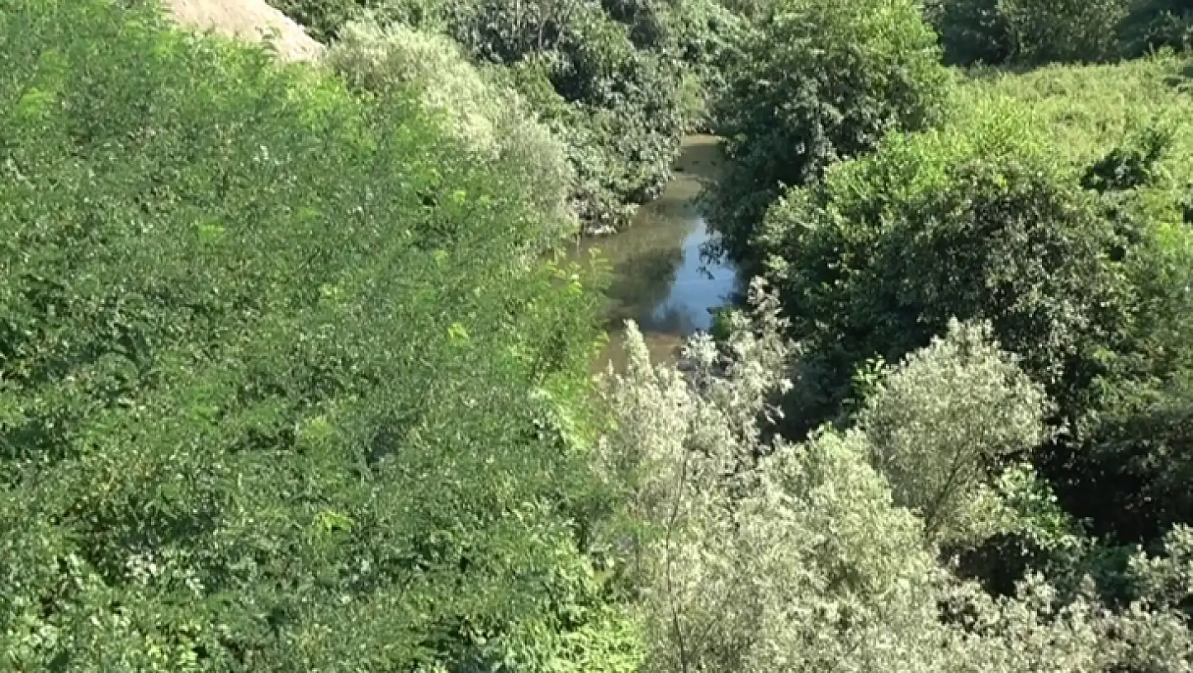 Dikbıyık'ta Biyokütle Santrali Tepkisi: