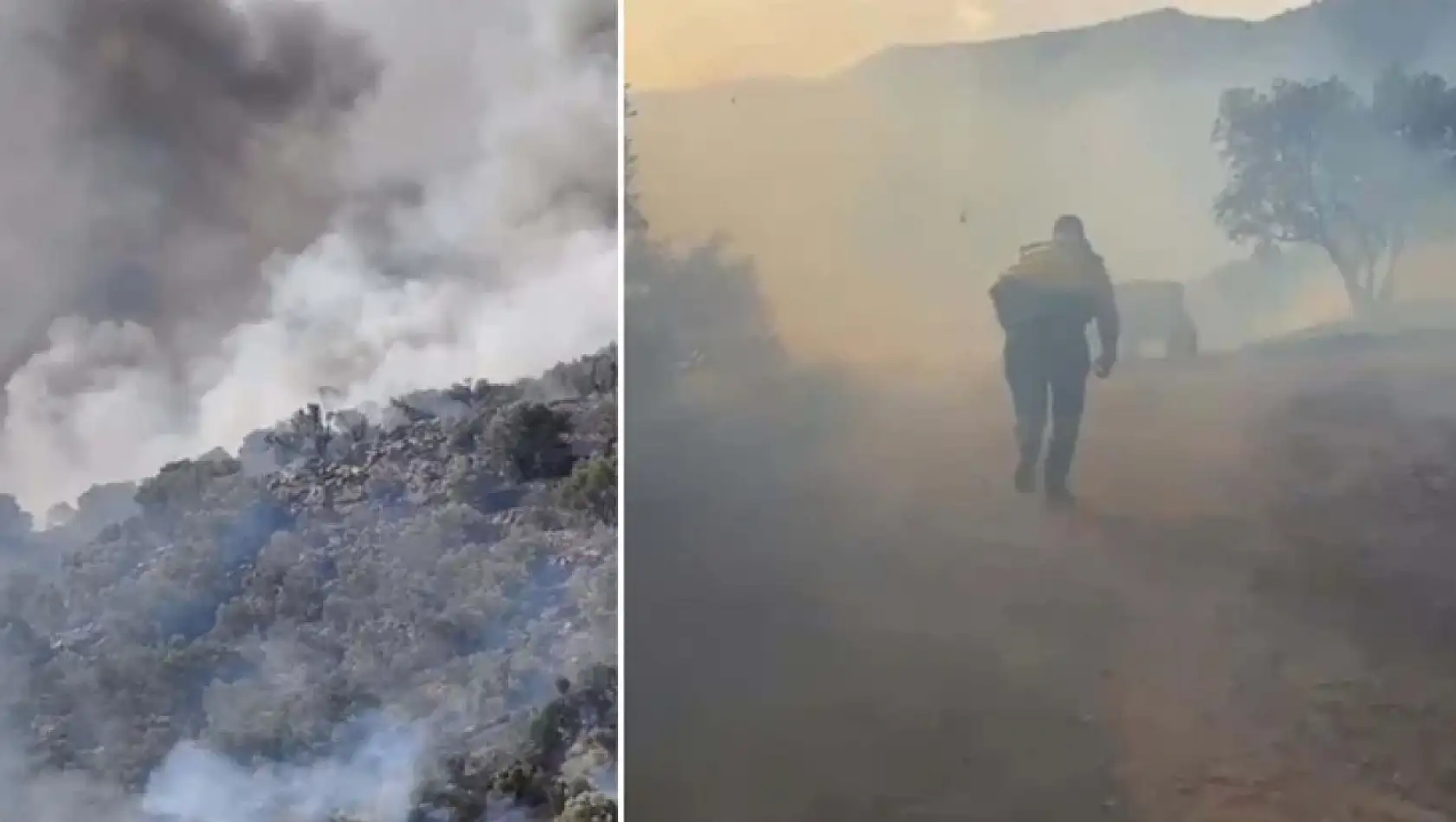 Aydın'da orman yangını! Rüzgarın etkisiyle yayıldı