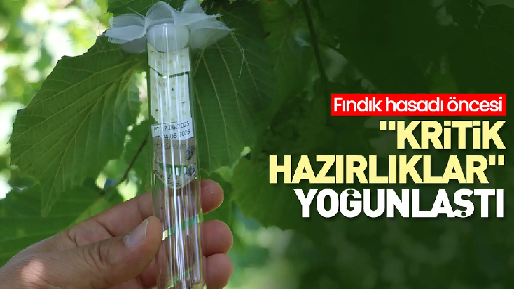 'Kritik hazırlıklar' yoğunlaştı