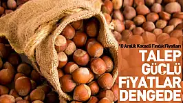 10 Aralık Kocaeli Fındık Fiyatları | Talep Güçlü, Fiyatlar Dengede