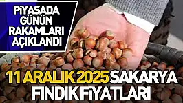 11 Aralık 2025 Sakarya Fındık Fiyatları | Piyasada Günün Rakamları Açıklandı