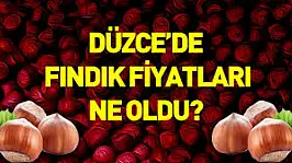 17 Aralık Düzce Fındık Fiyatları