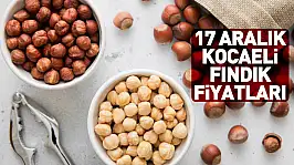 17 Aralık Kocaeli Fındık Fiyatları | Kandıra İç Piyasanın Nabzını Tutuyor