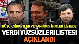 Vergi Yüzsüzleri Listesi Açıklandı: Tanınmış İsimler ve Şirketler Aynı Listede