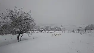 Asarcık ilçesi beyaza büründü