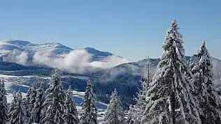 Ordu'da kartpostallık kar manzaraları