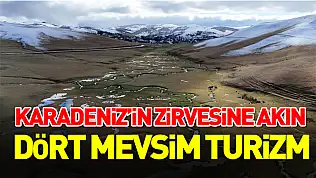 Perşembe Yaylası'na ziyaretçi akını