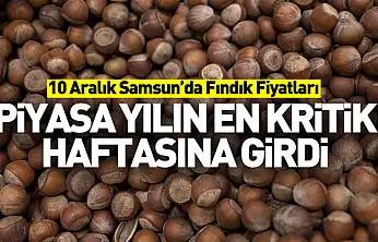 10 Aralık Samsun'da Fındık Fiyatları | Piyasa Yılın En Kritik Haftasına Girdi