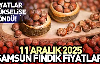 11 Aralık Samsun Fındık Fiyatları