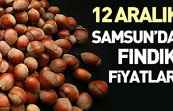 12 Aralık Samsun'da Fındık Fiyatları | Piyasa Kritik Eşiği Aştı