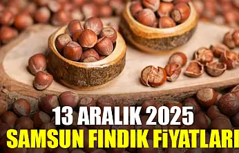 13 Aralık Samsun'da Fındık Fiyatları