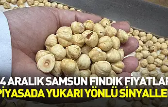 14 Aralık Samsun Fındık Fiyatları | Piyasada Yukarı Yönlü Sinyaller