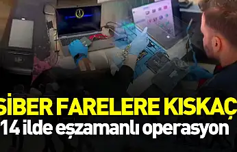 14 İlde Siber Dolandırıcılık Operasyonu: 90 Şüpheli Yakalandı