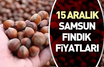 15 Aralık Samsun Fındık Fiyatları | Karadeniz'in Denge Noktasında Bekleyiş Sürüyor