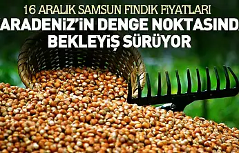 16 Aralık Samsun Fındık Fiyatları | Karadeniz'in Denge Noktasında Bekleyiş Sürüyor