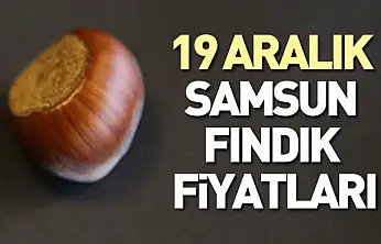 19 Aralık Samsun Fındık Fiyatları | Denge Korunuyor, Bekleyiş Sürüyor