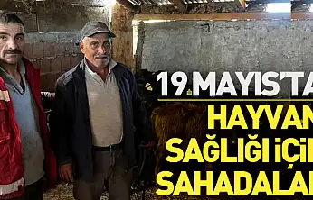 19 Mayıs'ta Hayvan Sağlığı İçin Sahadalar