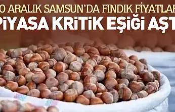 20 Aralık Samsun'da Fındık Fiyatları | Piyasa Kritik Eşiği Aştı