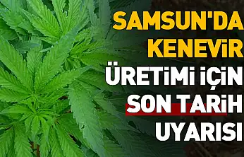 2026 Yılı Kenevir Üretimi Başvuruları Başladı