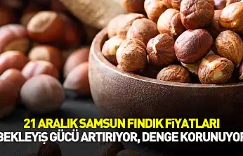 21 Aralık Samsun Fındık Fiyatları | Bekleyiş Gücü Artırıyor, Denge Korunuyor