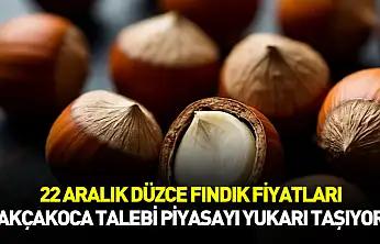 22 Aralık Düzce Fındık Fiyatları | Akçakoca Talebi Piyasayı Yukarı Taşıyor