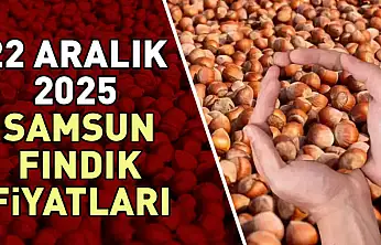 22 Aralık Samsun'da Fındık Fiyatları | Denge Korunuyor, Yukarı Kırılma Beklentisi Artıyor