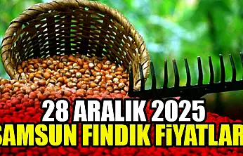 28 Aralık Samsun Fındık Fiyatları