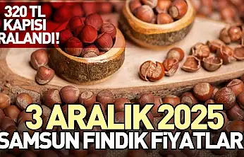 3 Aralık 2025 Samsun Fındık Fiyatları