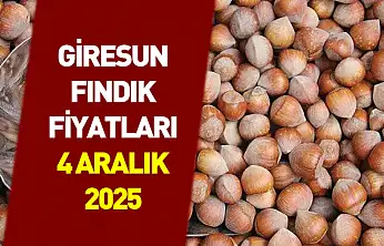 4 Aralık 2025 Giresun Fındık Fiyatları | Premium Rekabet Zirvede! 343 TL Isınıyor