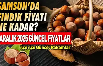 4 Aralık 2025 Samsun Fındık Fiyatları ne kadar? Piyasa Rekabeti Sertleşti