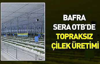 48 bin metrekarelik alanda 'iklimden bağımsız' üretim