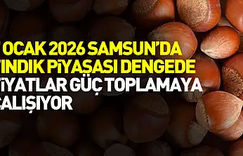 7 Ocak 2026 Samsun'da Fındık Piyasası Dengede: Fiyatlar Güç Toplamaya Çalışıyor