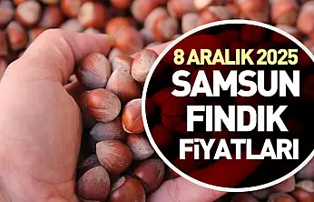 8 Aralık 2025 Samsun Fındık Fiyatları | Pazartesi Günü Piyasada Yön Arayışı Başladı