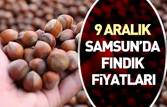9 Aralık Samsun'da Fındık Fiyatları | Piyasa Salı Günü Yeniden Canlandı