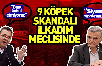 9 Köpek skandalı İlkadım meclisinde