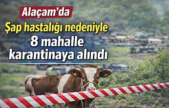 Alaçam'da şap alarmı