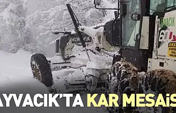 Ayvacık'ta kar mesaisi