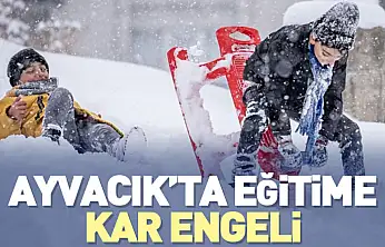 Ayvacık'ta Kar Nedeniyle Bazı Okullarda Eğitime Ara