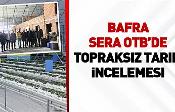 Bafra Sera OTB'de topraksız tarım incelemesi