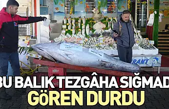 Bu Balık Tezgâha Sığmadı, Gören Durdu