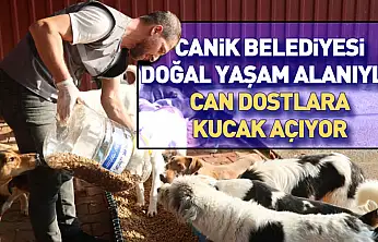 Canik Belediyesi doğal yaşam alanıyla can dostlara kucak açıyor