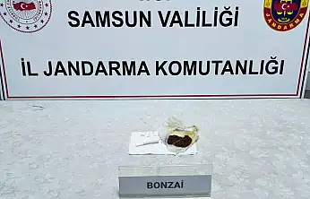 Çarşamba'da Uyuşturucu Operasyonu