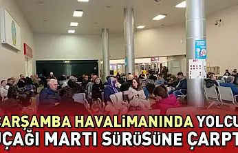 Çarşamba Havalimanında yolcu uçağı martı sürüsüne çarptı