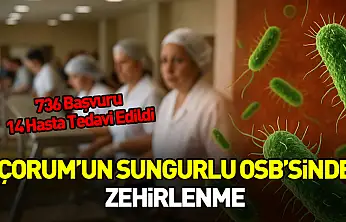 Çorum Valiliği'nden Sungurlu OSB'deki Zehirlenme Vakalarıyla İlgili Açıklama