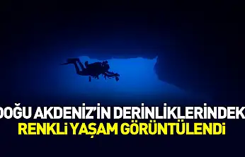Doğu Akdeniz'in derinliklerindeki renkli yaşam görüntülendi